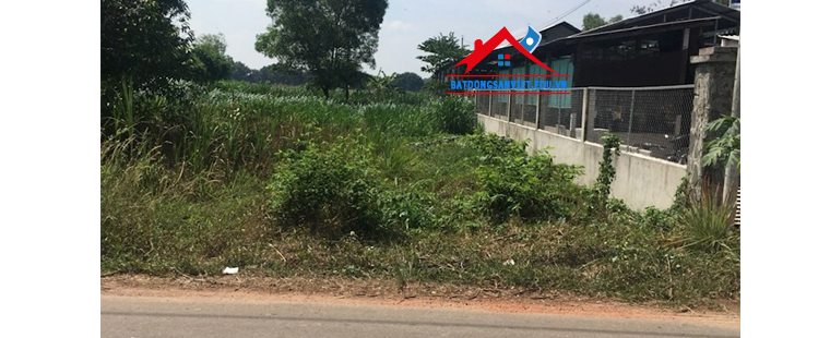 đất nền củ chi